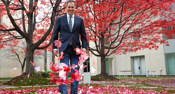 Treasurer Jim Chalmers under the ‘budget tree’ at Parliament House (Image: AAP/Lukas Coch)